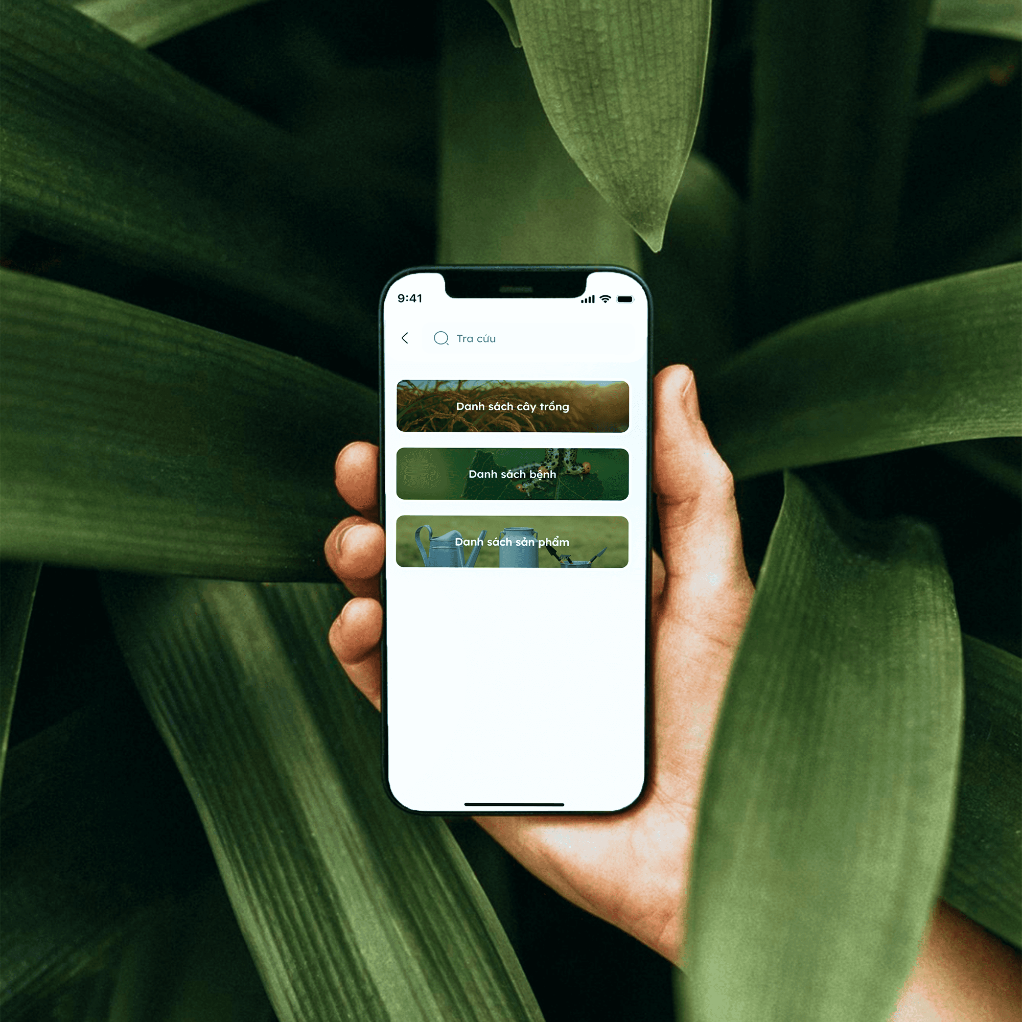 SEARCHING INFORMATION