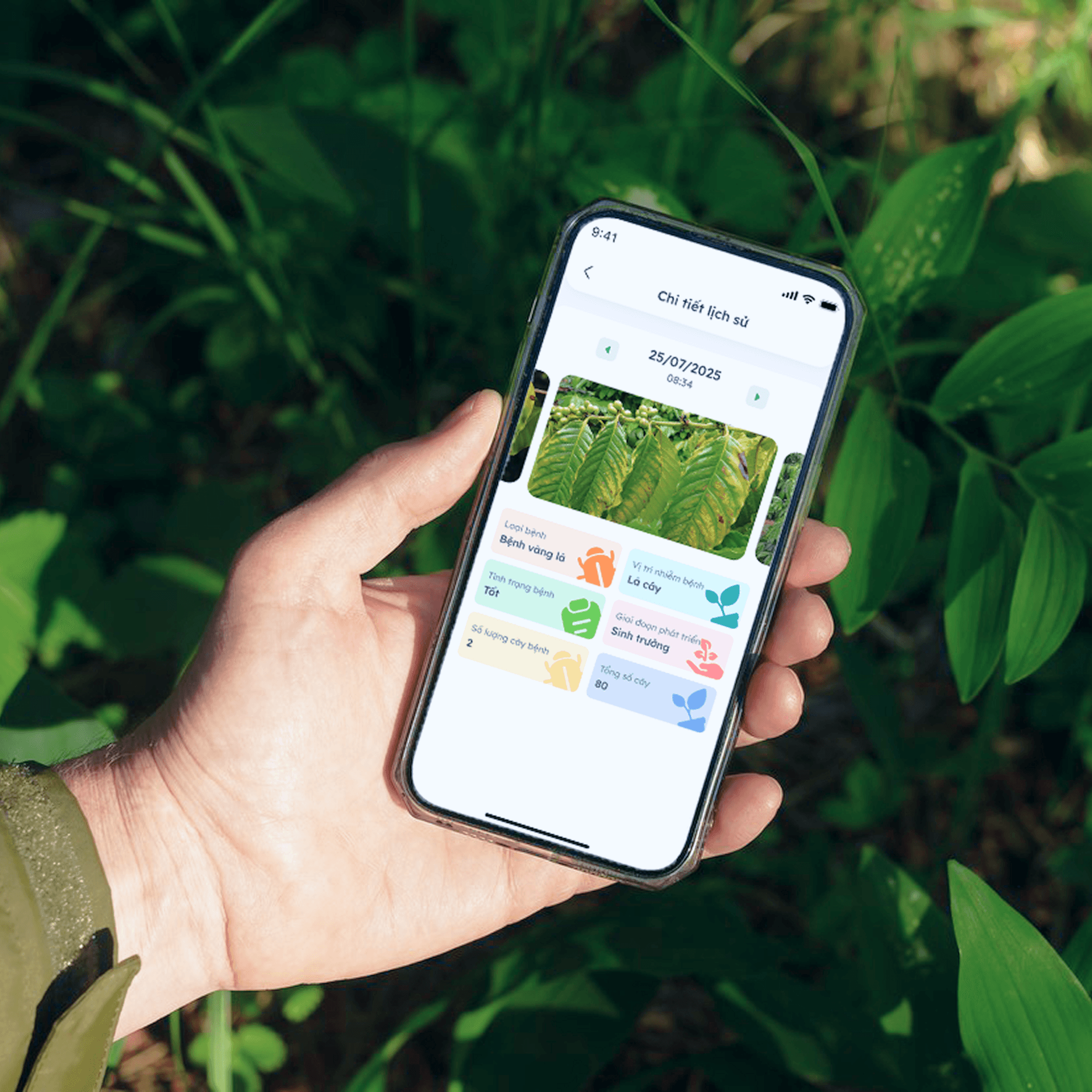 PLANT ANALYSIS HISTORY