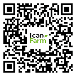 QR Code Android